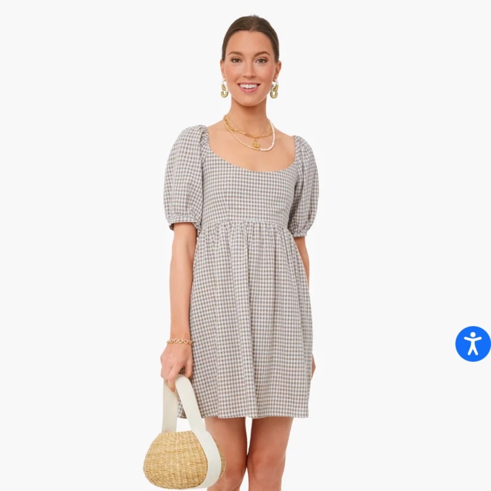 Brand new gingham dress from Tuckernuck